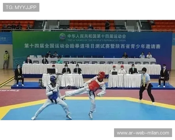 全运会为多项传统项目带来复兴契机，基层参与增长