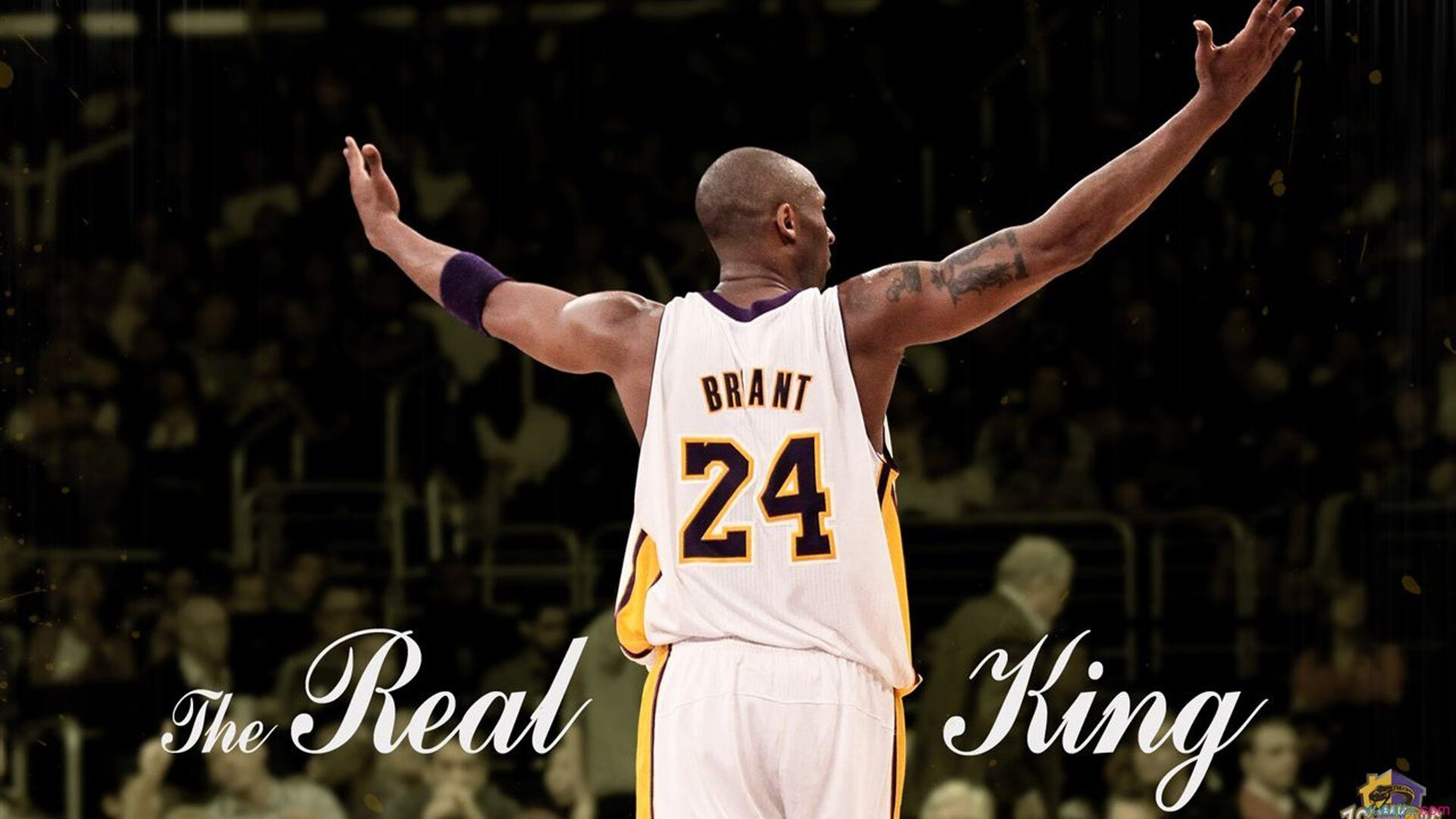 主场气势谁的球馆最具压迫感,主场一般谁开球